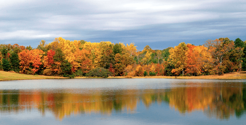 Fall In Love With Fall Scenery