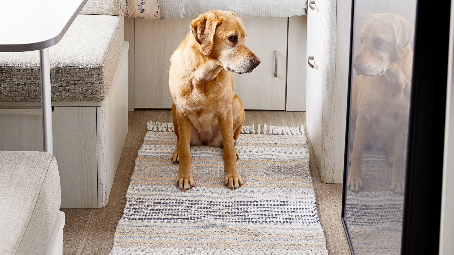 Airstream and Pottery Barn Pacifica Rug