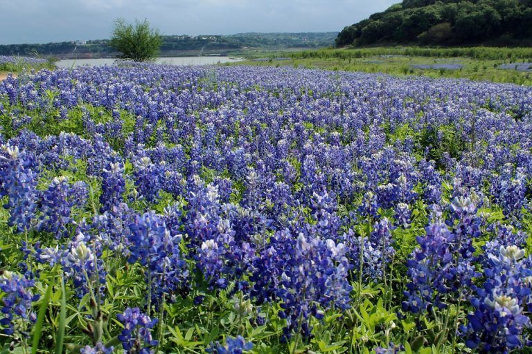 Hill Country, Texas (via U.S. 281)