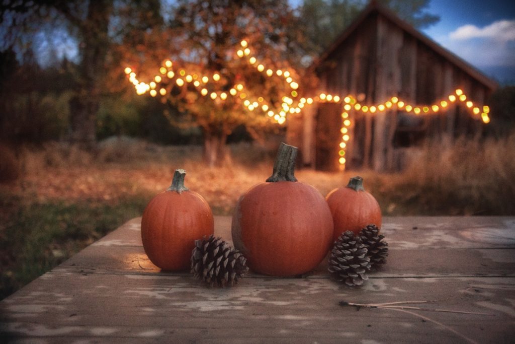 Airstream Thanksgiving food ideas pumpkins and lighting