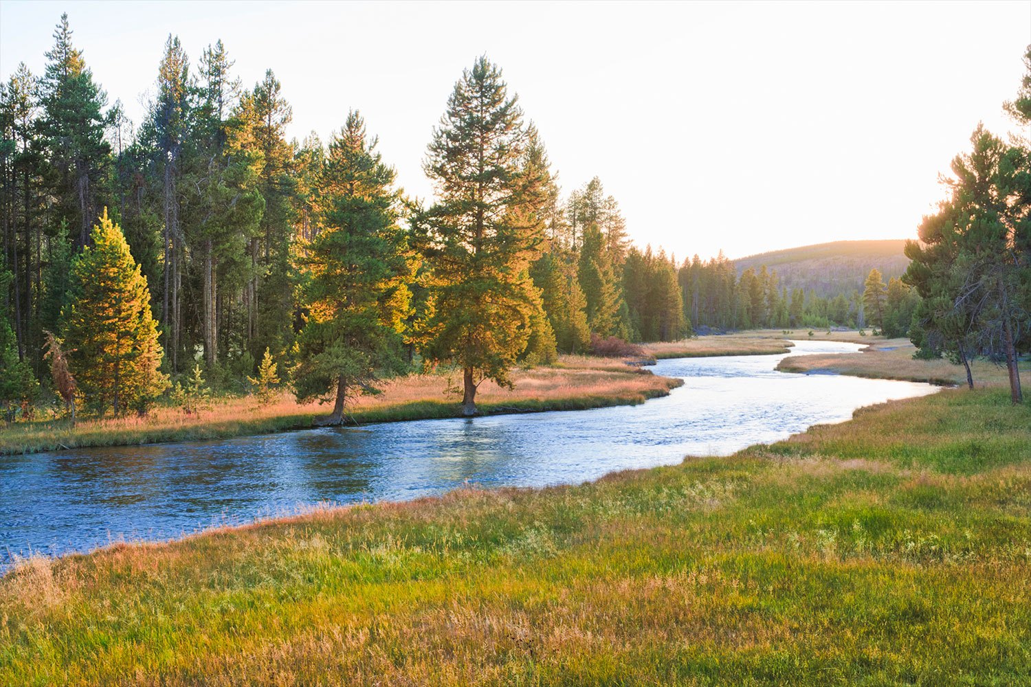 river in nature