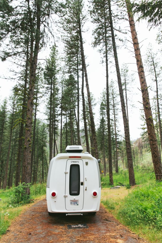 nest by airstream rear door and window in woods on driving trail camping