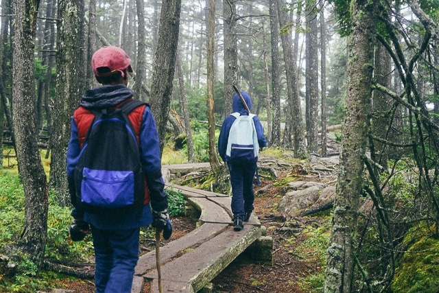 Endless Caravan - Walking down Trail