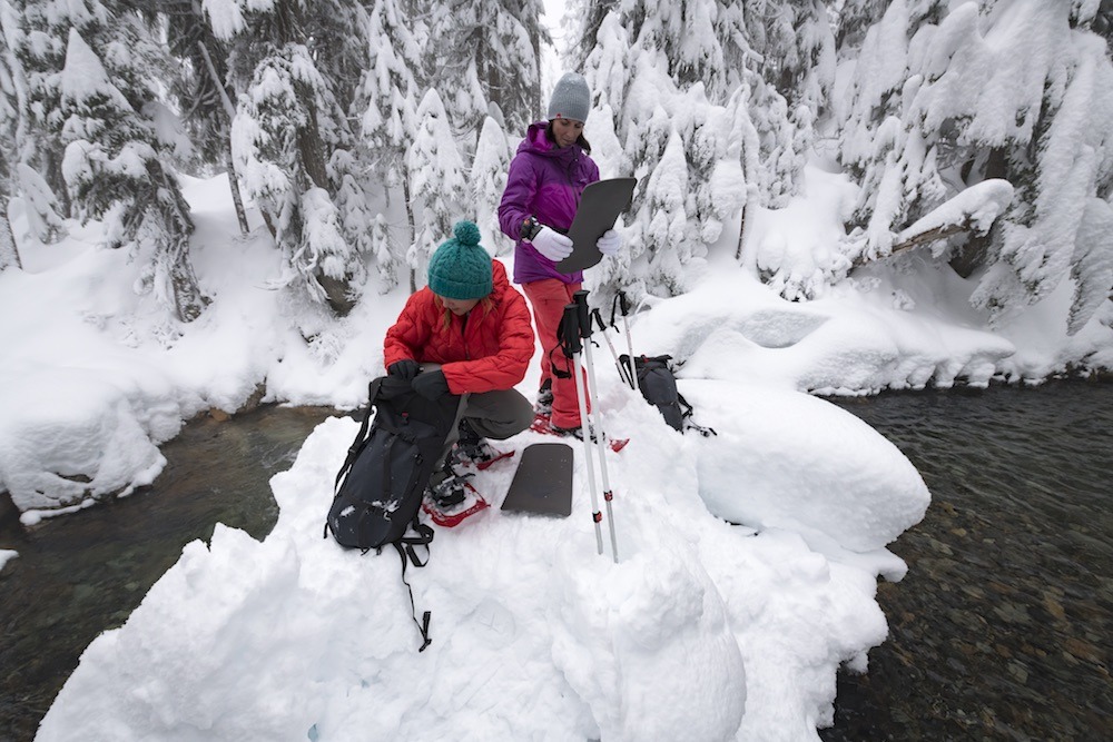 Exploring Snow