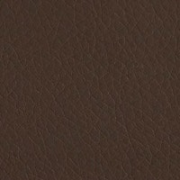 Refined Brown Brandy Ultraleather Seating