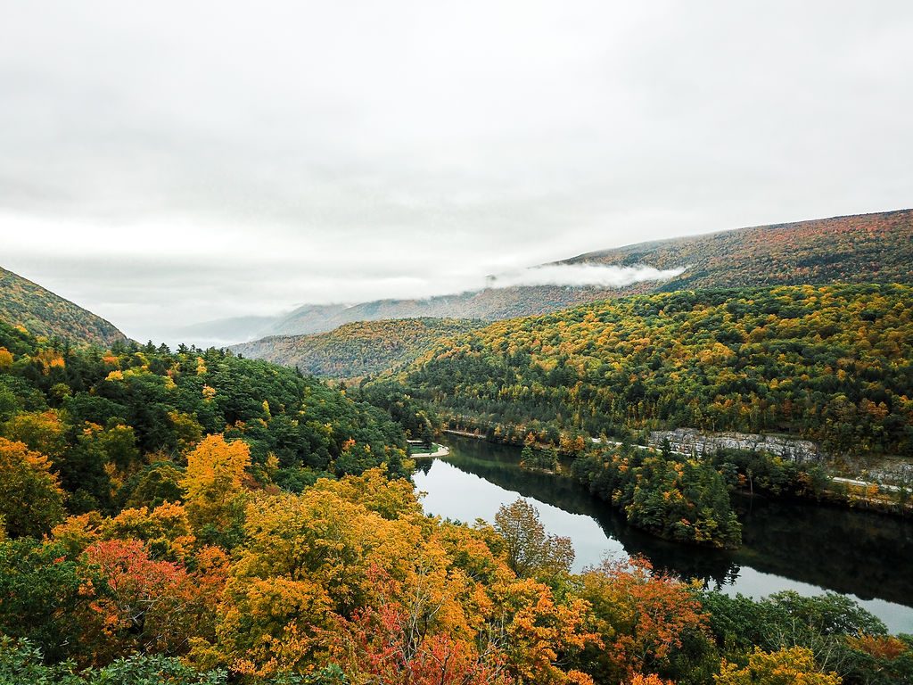 Image: Vermont-Fall-Foliage-1-1024x768.jpg