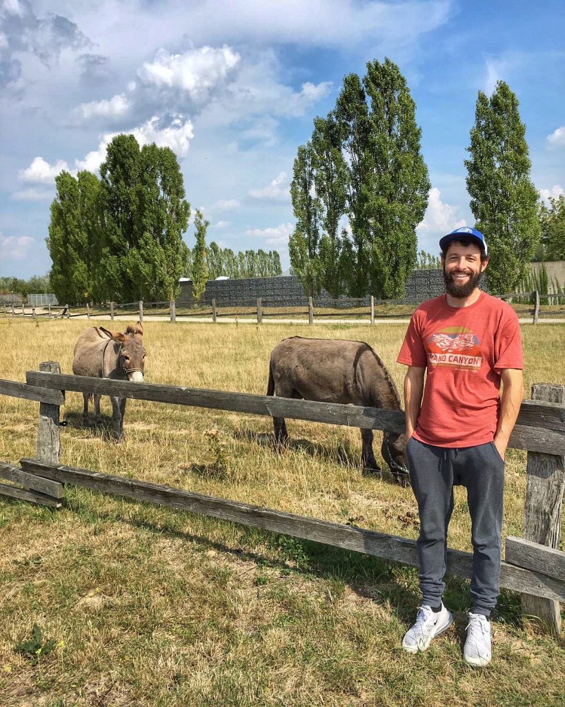 Donkeys - Tierschutz Berlin