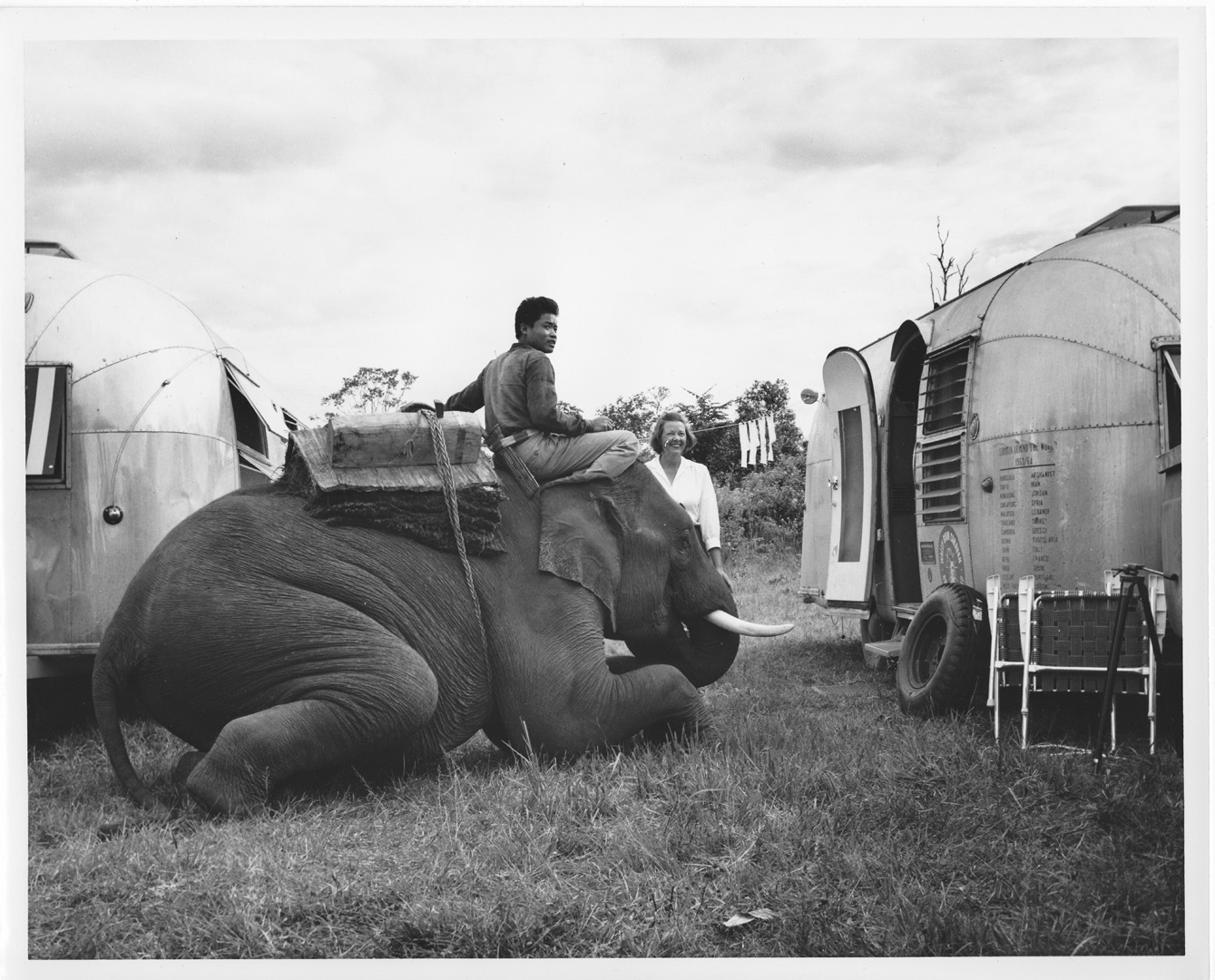 Fran Hall Photogrpahy Elephant and Airstream