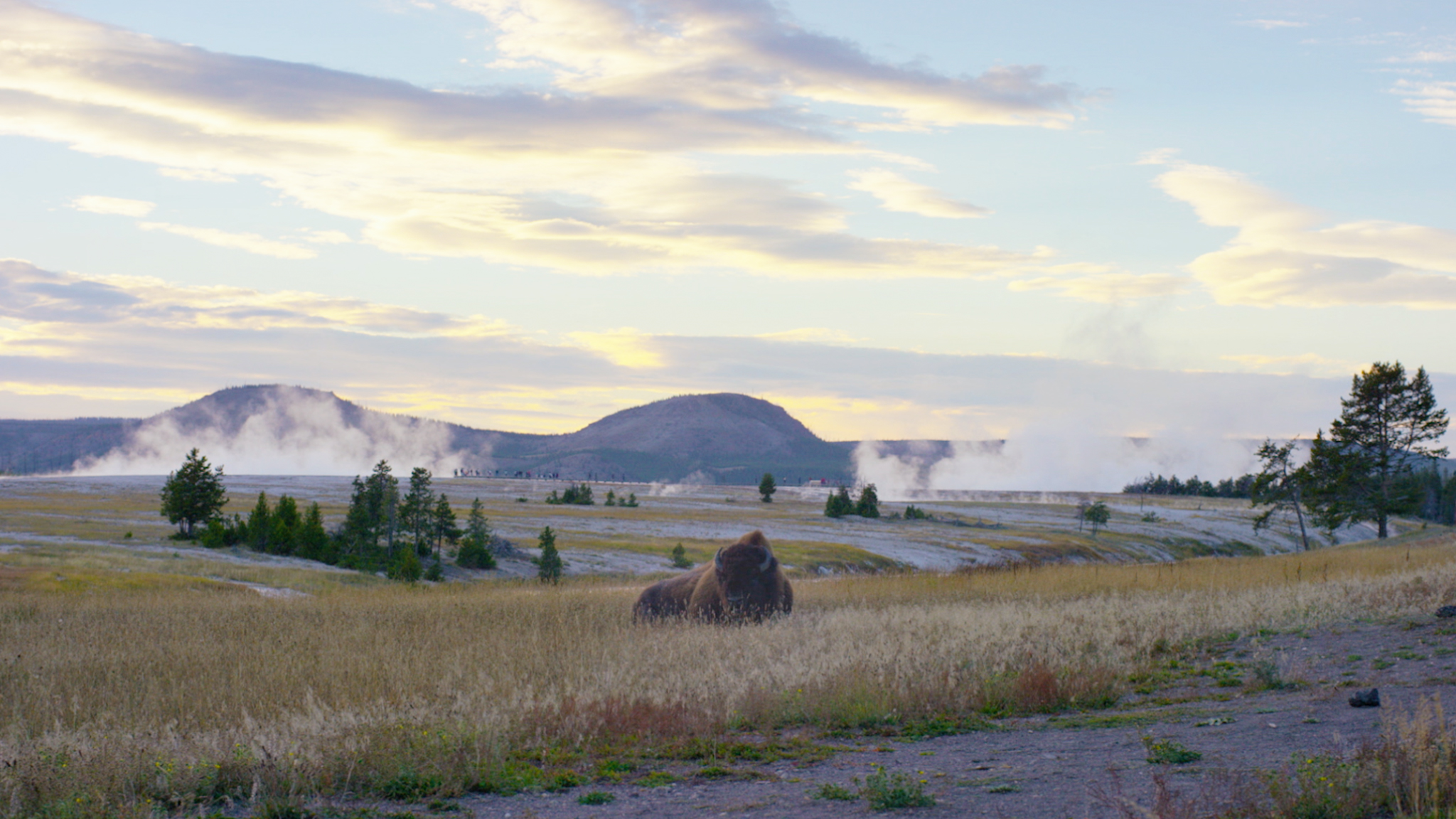 Best campsite outlet yellowstone