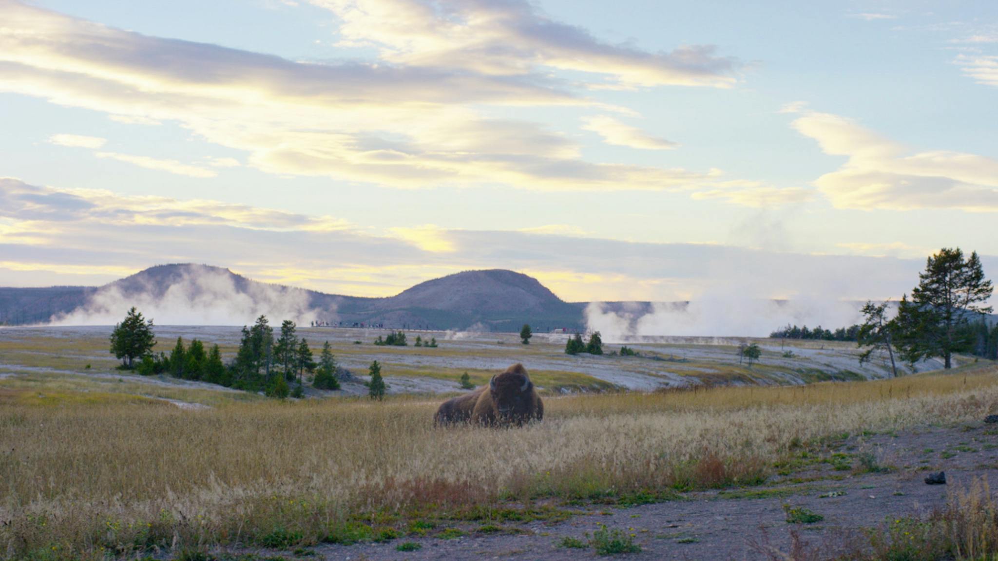 Airstream-Best-Yellowstone-Camping-Header