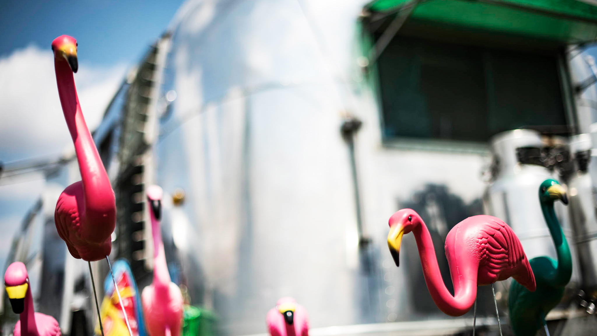 Introducing the Airstream Flamingo Friday Livestream Series - Airstream