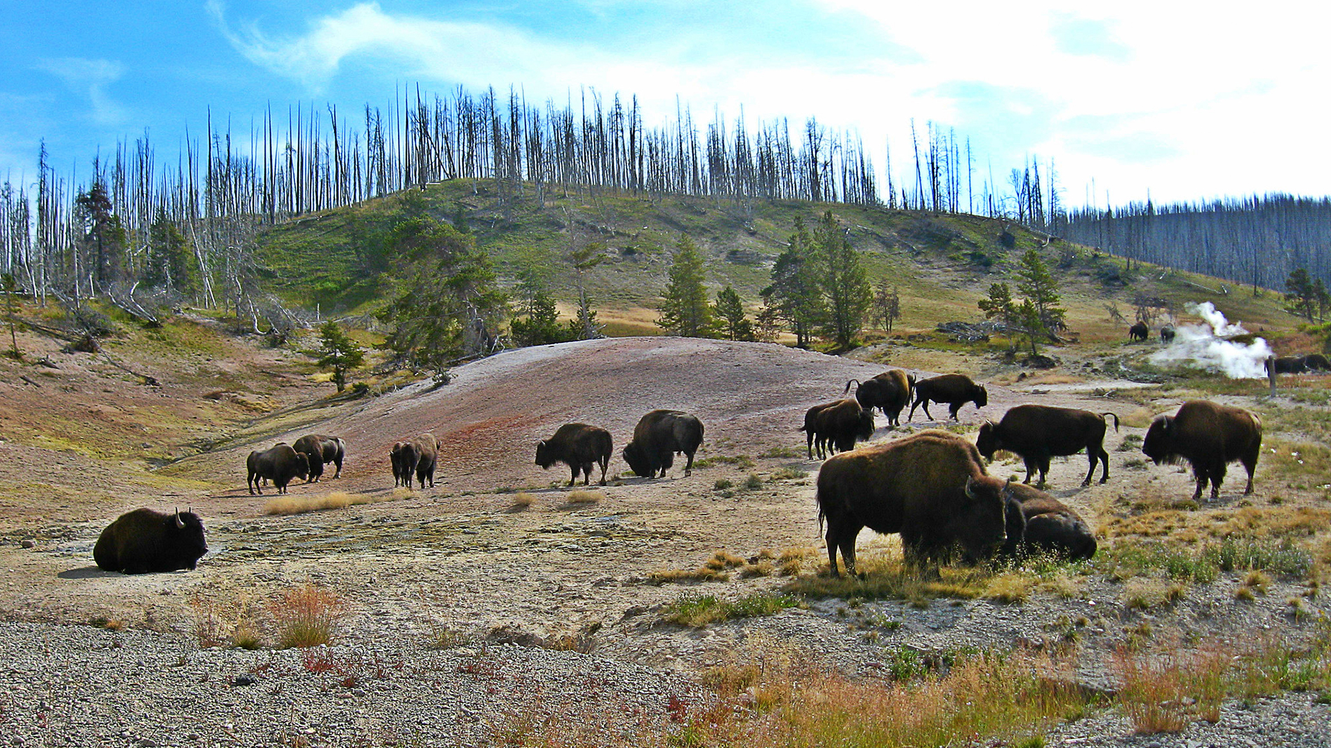 Airstream-and-Yellowstone-National-Park-Image-3