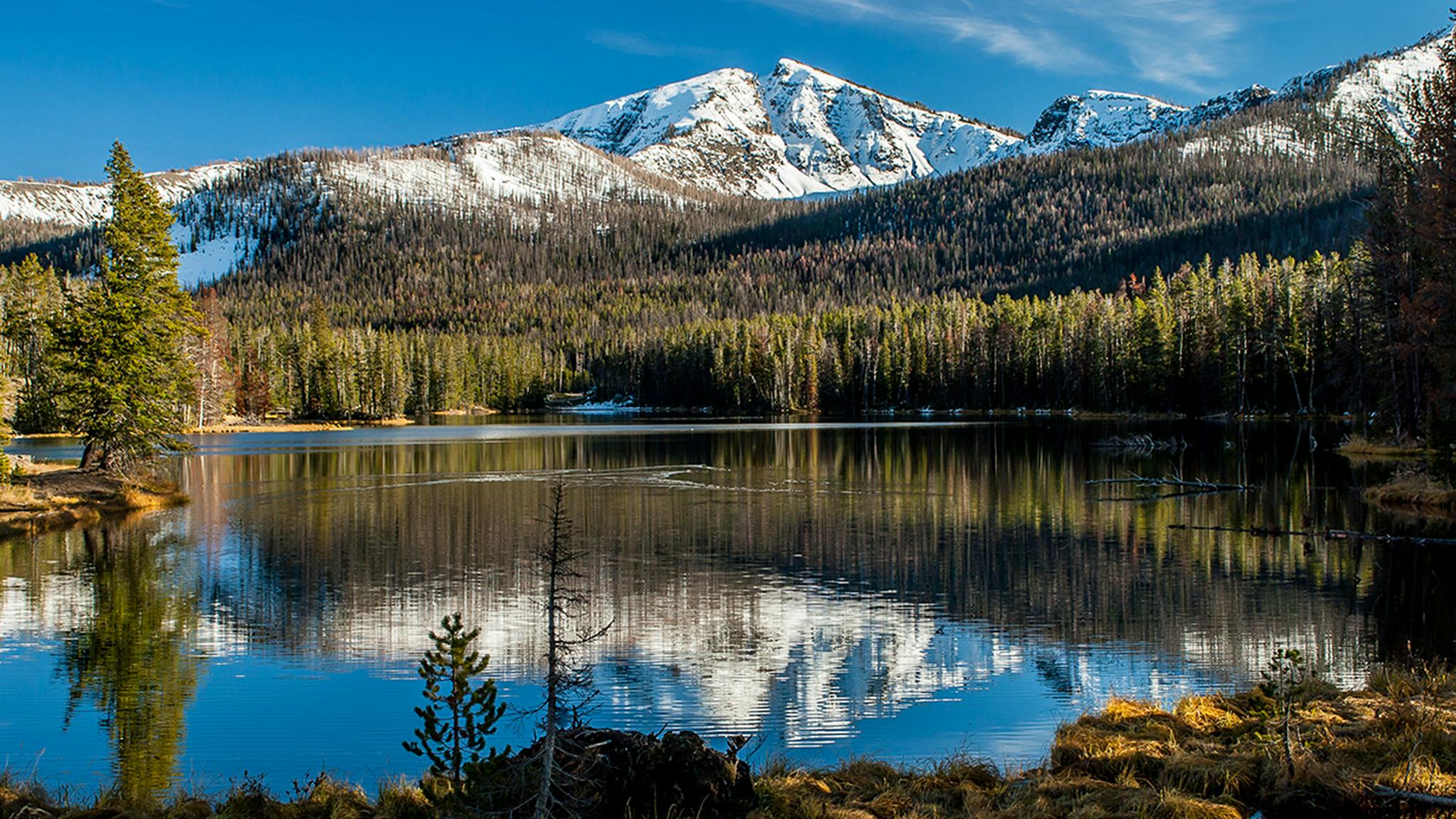 Download Introducing Portable Park: Yellowstone | Airstream Virtual Window to the Outdoors