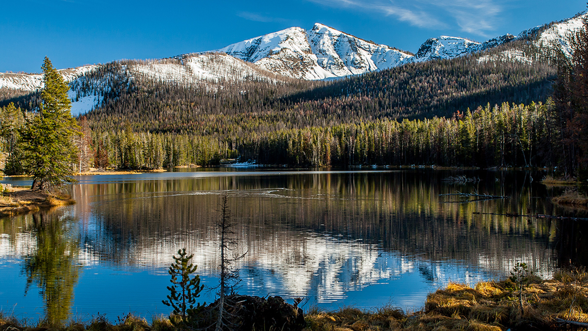 Yellowstone-and-Airstream-Image-4