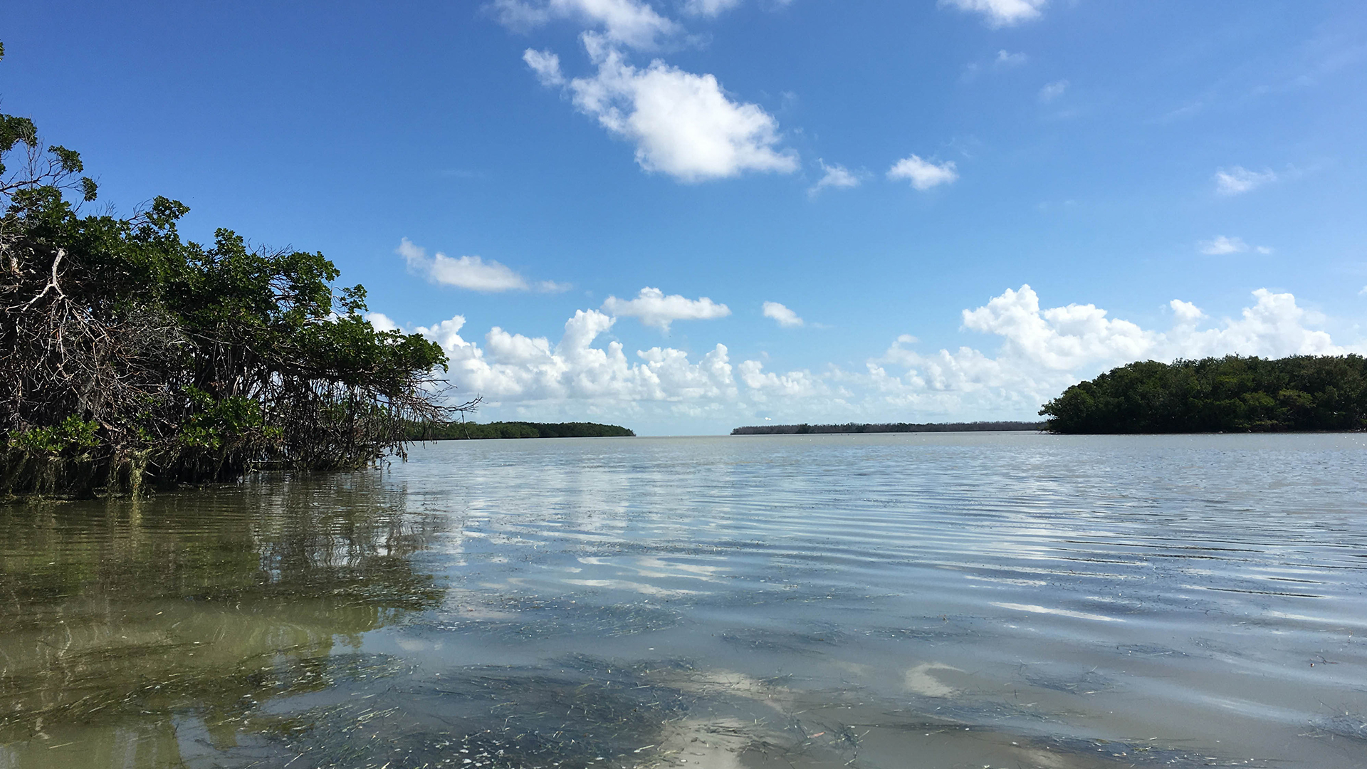 Flamingo-Campround-Everglades-National-Park-Airstream