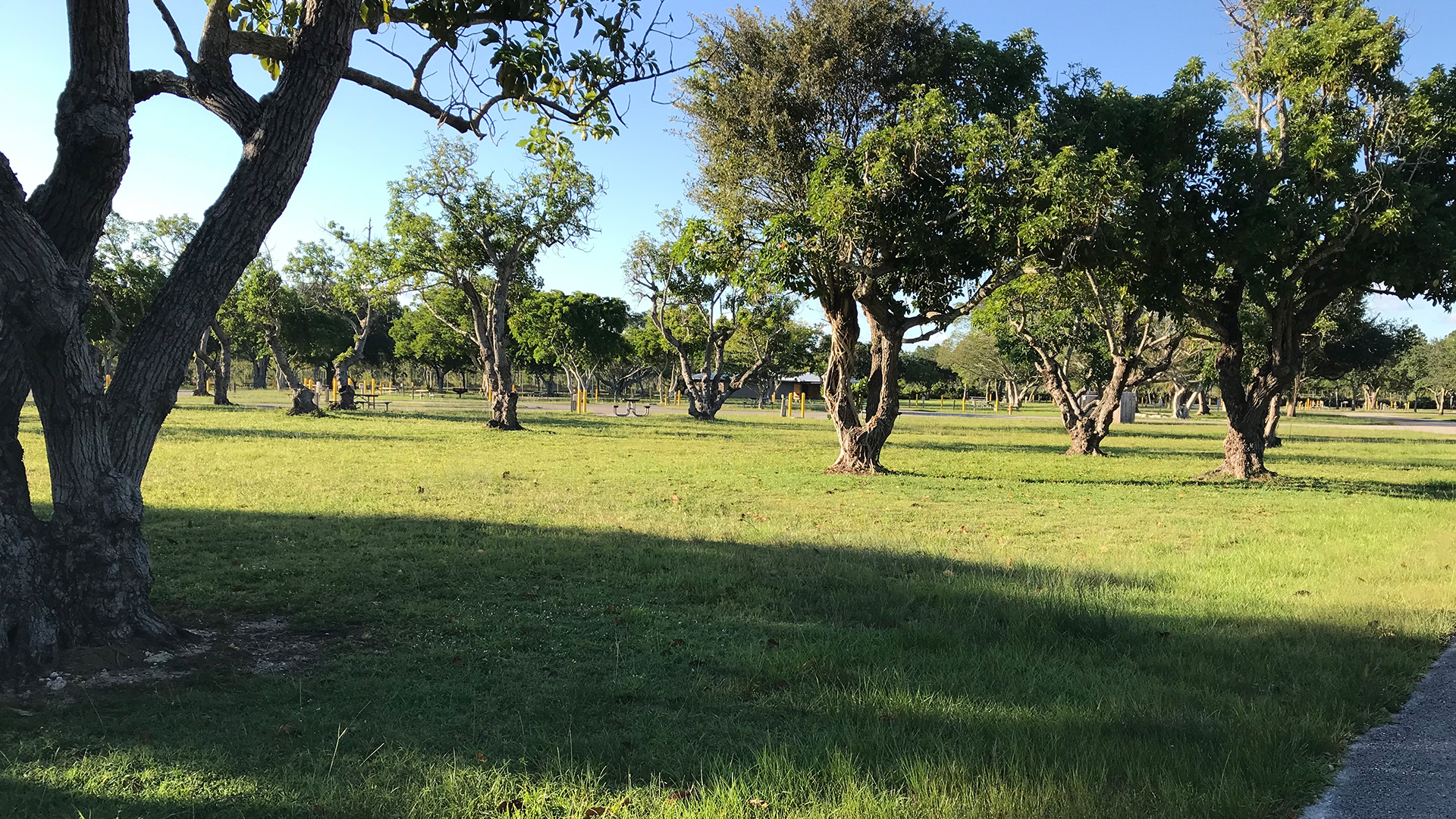 Larry-and-Penny-Thompson-Park-and-Airstream-Everglades