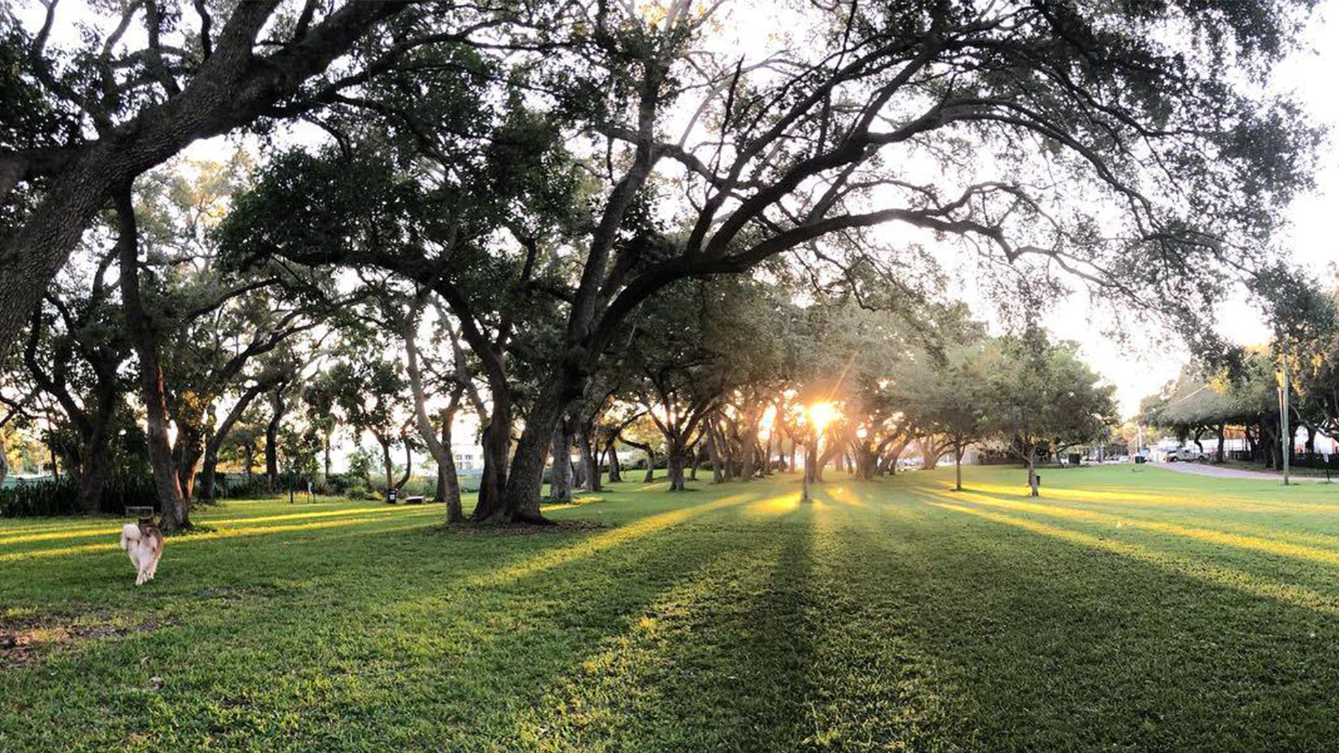 Miami-Everglades-RV-Park-and-Airstream