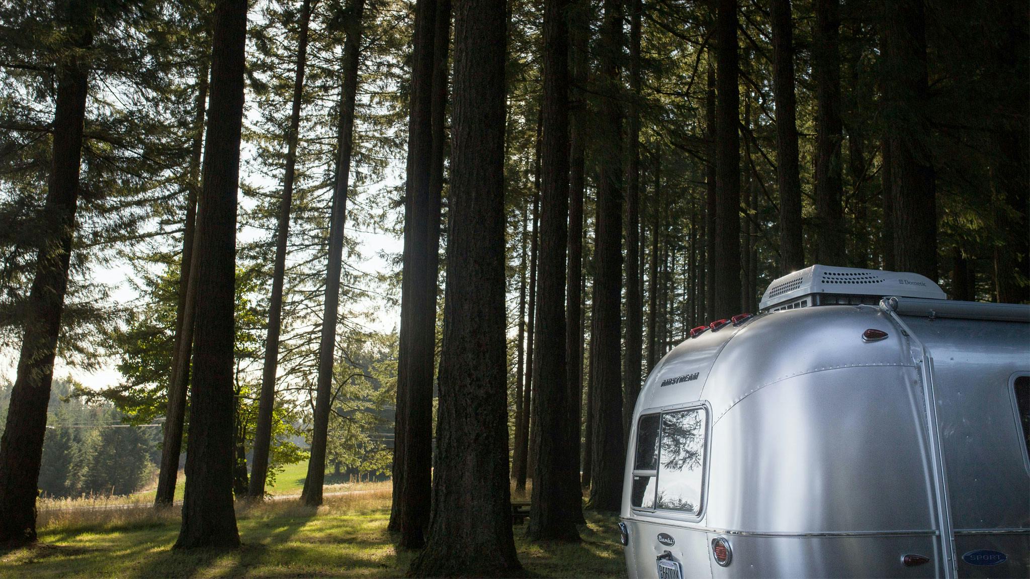 Airstream silver trailer sitting in a forest with trees