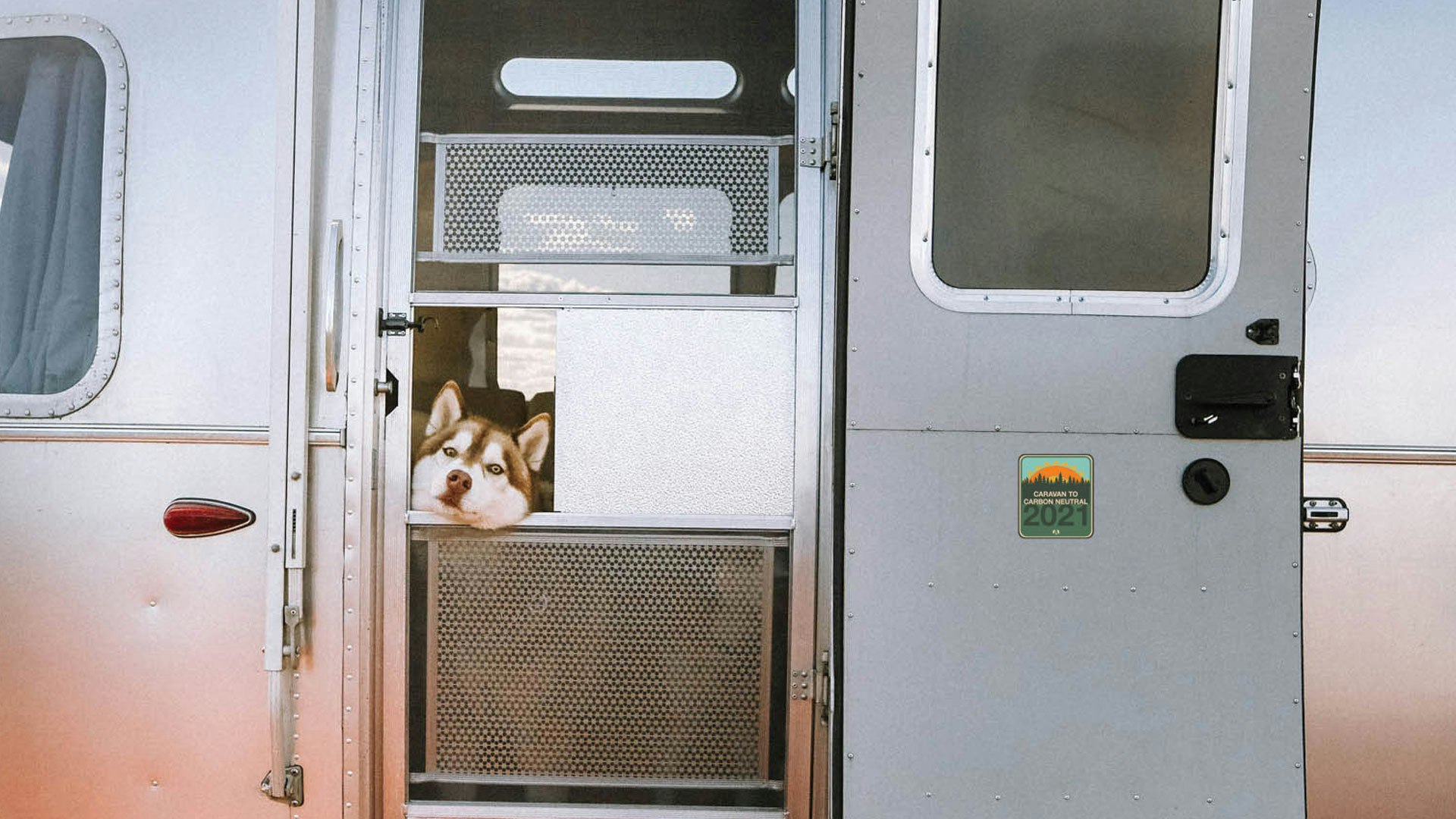 Dog with head out of window of Airstream