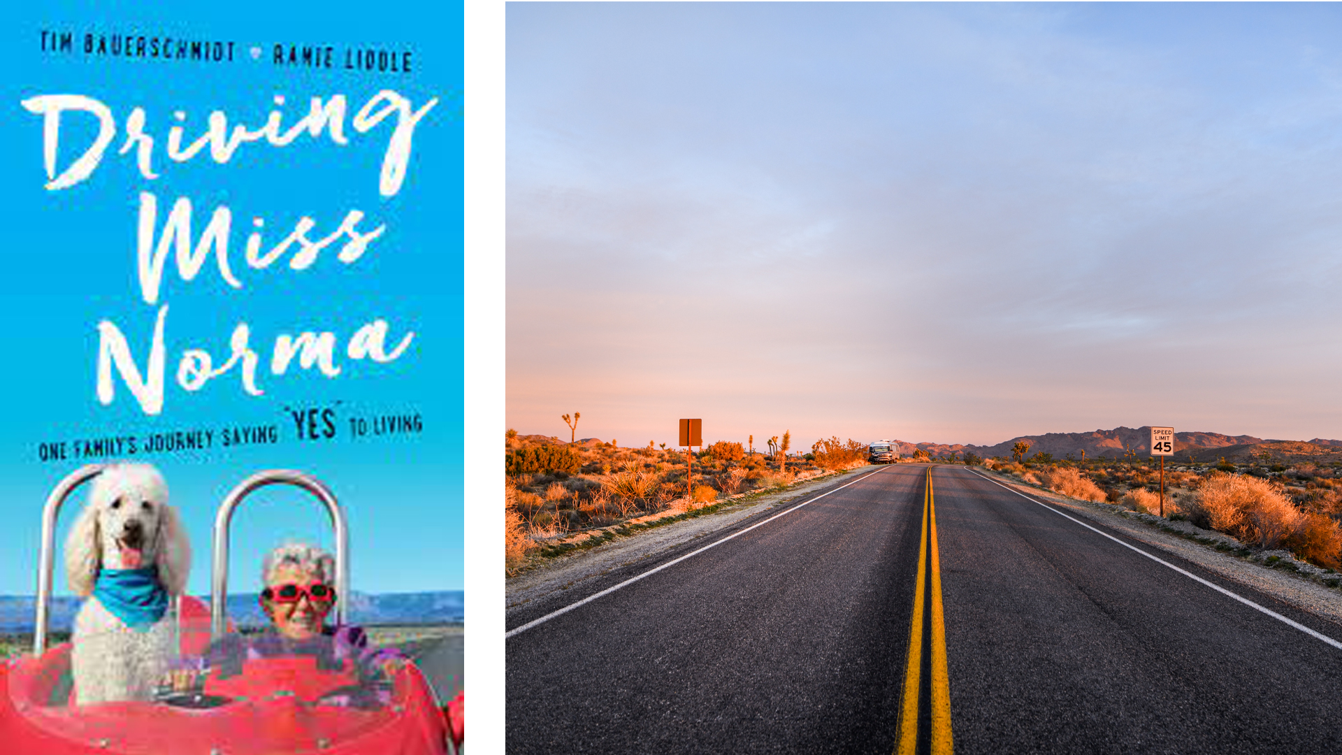 Driving Miss Norma book cover and road during sunset