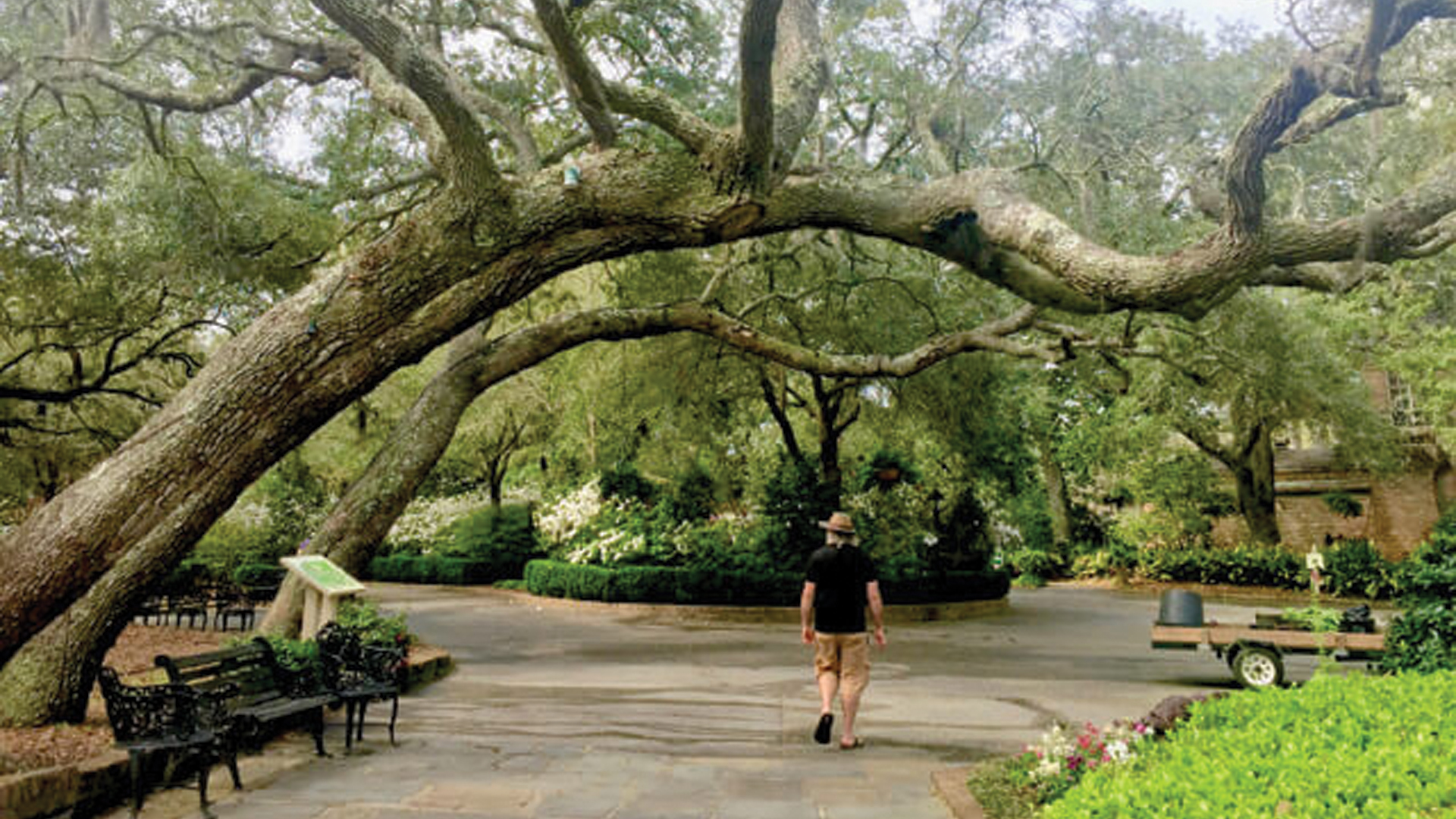 Jim-in-a-garden