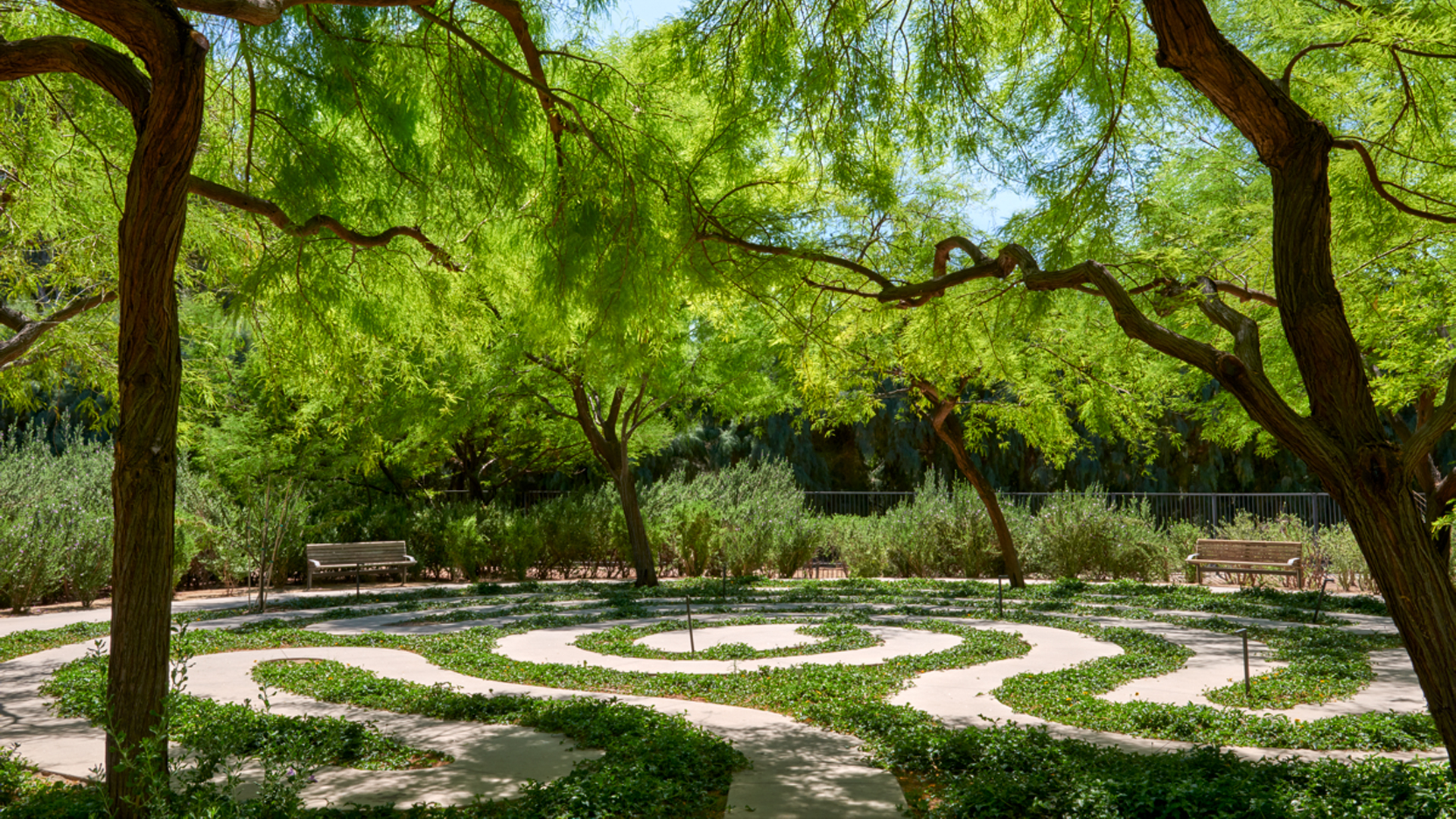 Sunnylands-Garden