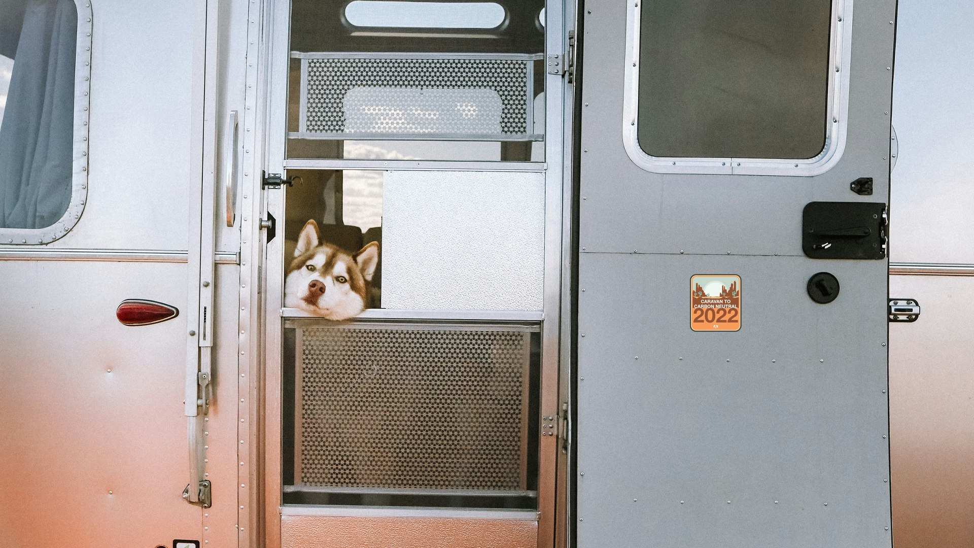A dog looking out of the door of an Airstream Travel Trailer with the Caravan to Carbon Neutral sticker