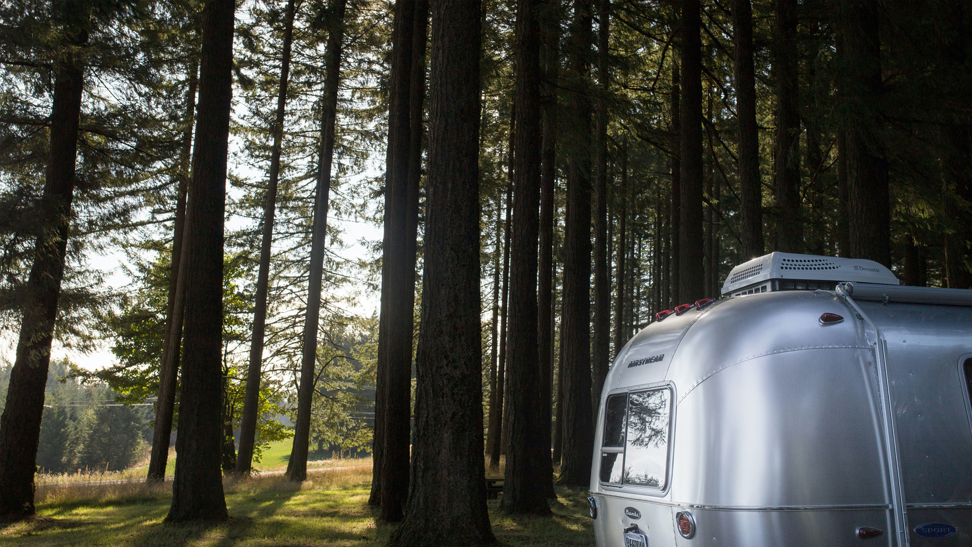 Airstream Travel Trailer sitting in a forest