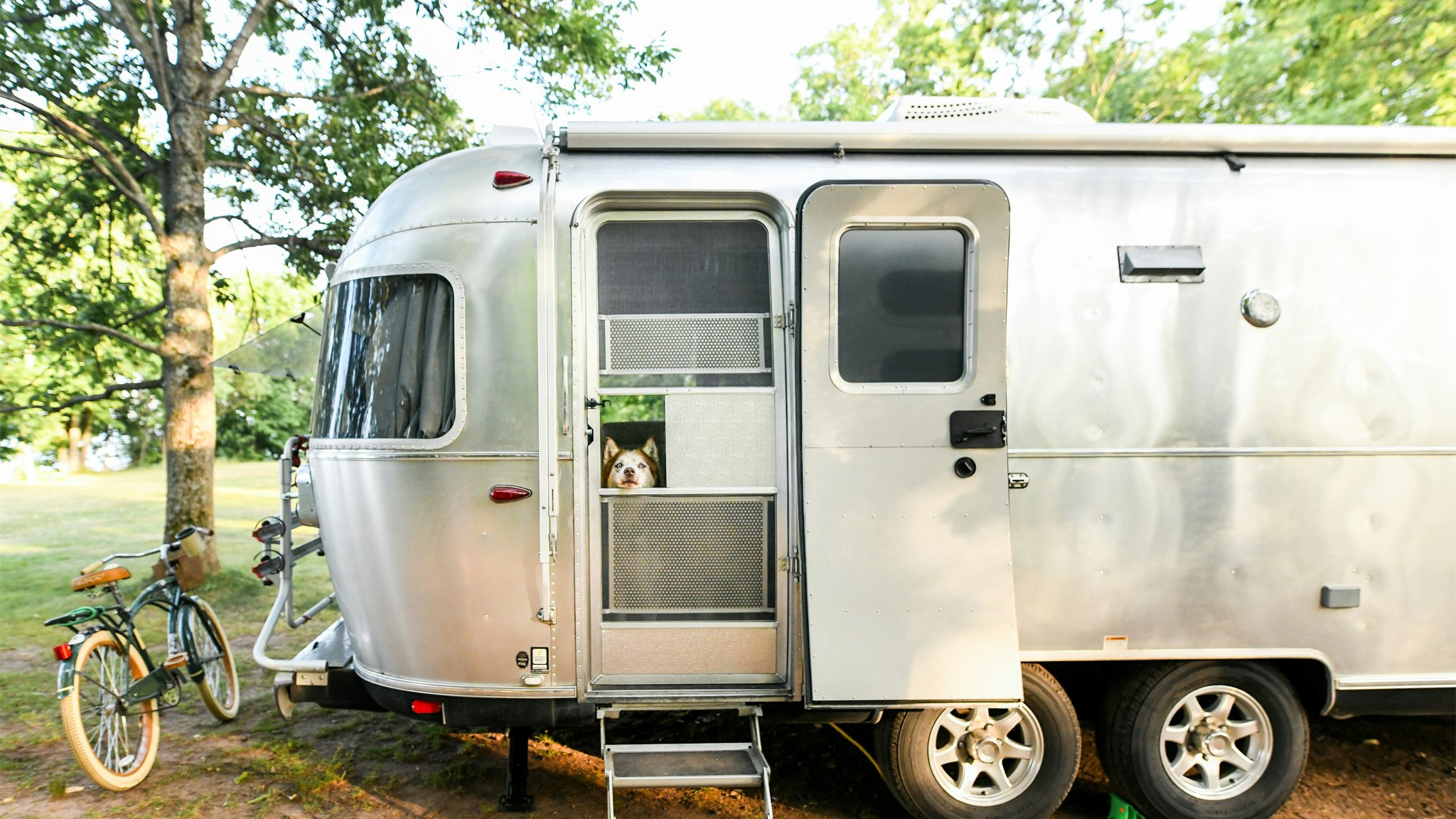 A dog looking out the door of an Airstream travel trailer with a bike sitting next to it, and that is parked at a camp grounds in Michigan