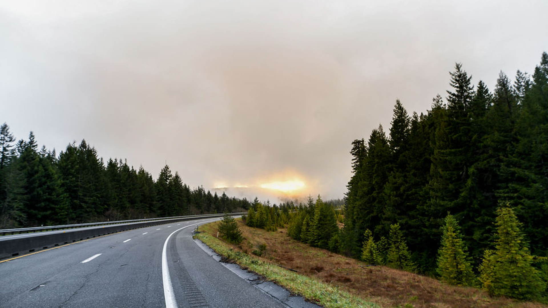 The sun setting on a cloudy day with a road and pines trees