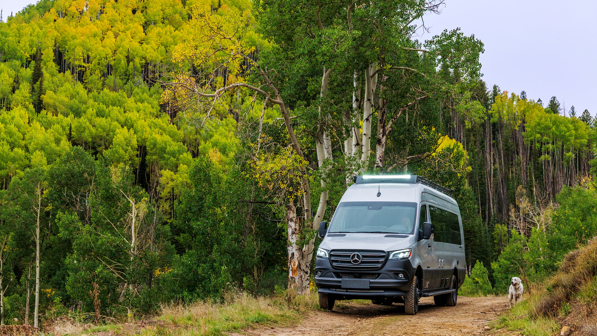 Airstream Interstate 24X Class B driving through a forest with a dog