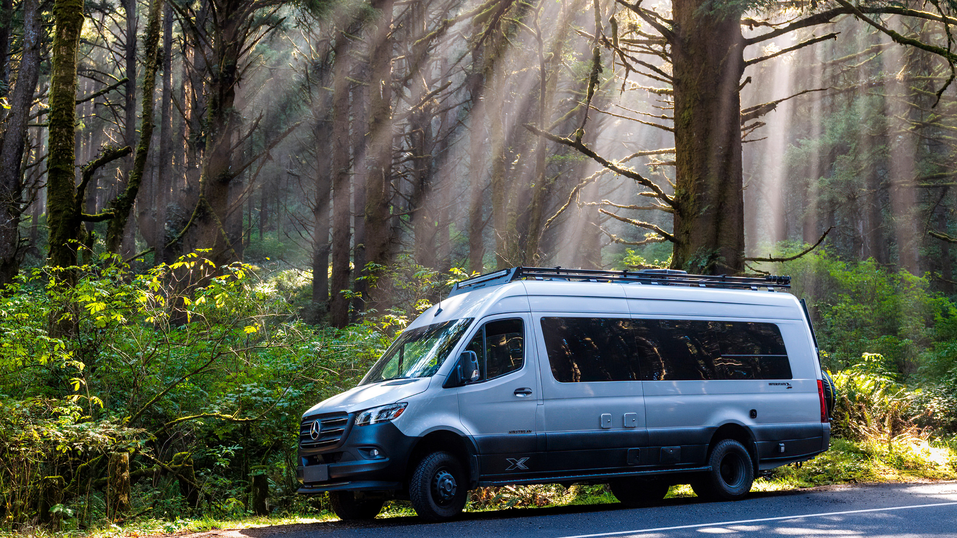 The sun shining through trees in a forest on an Airstream 24X Class B Motorhome