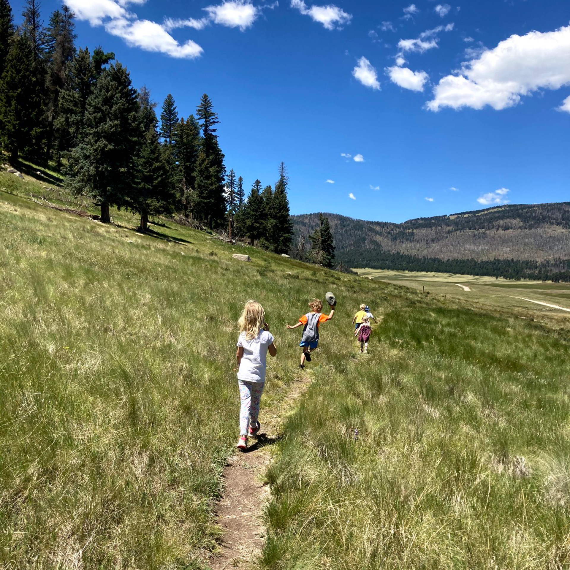 Three kids running down a little path in a grassy field in the moutains.