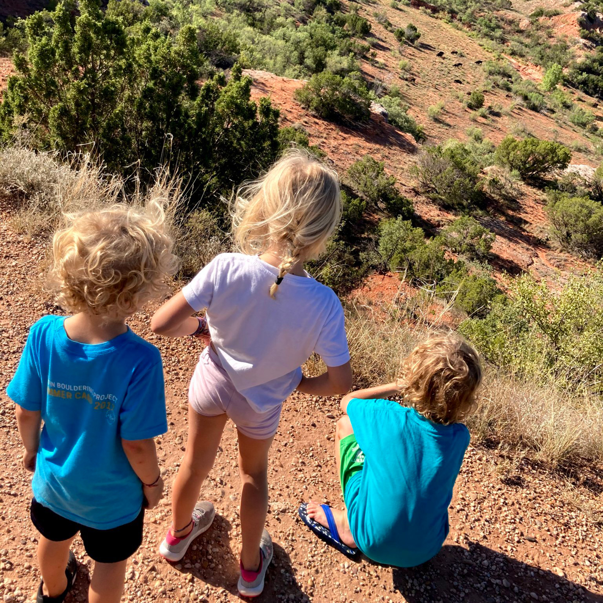 3 kids standing and sitting in a desert looking out at the view on a mountain