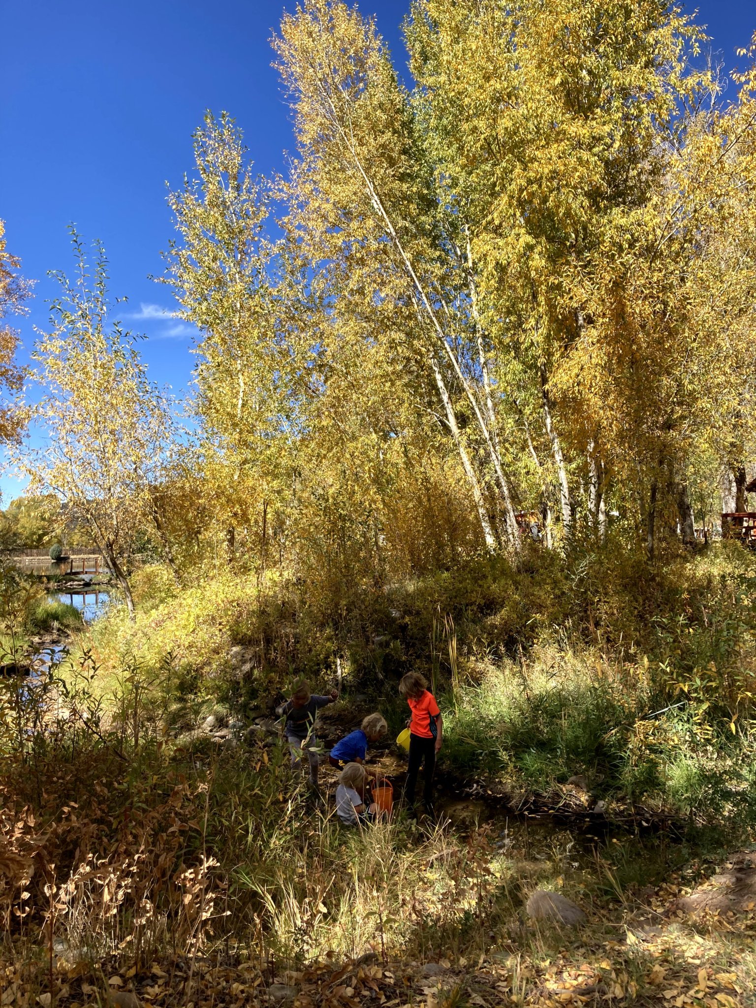 Kids searching for crawdads in the woods.