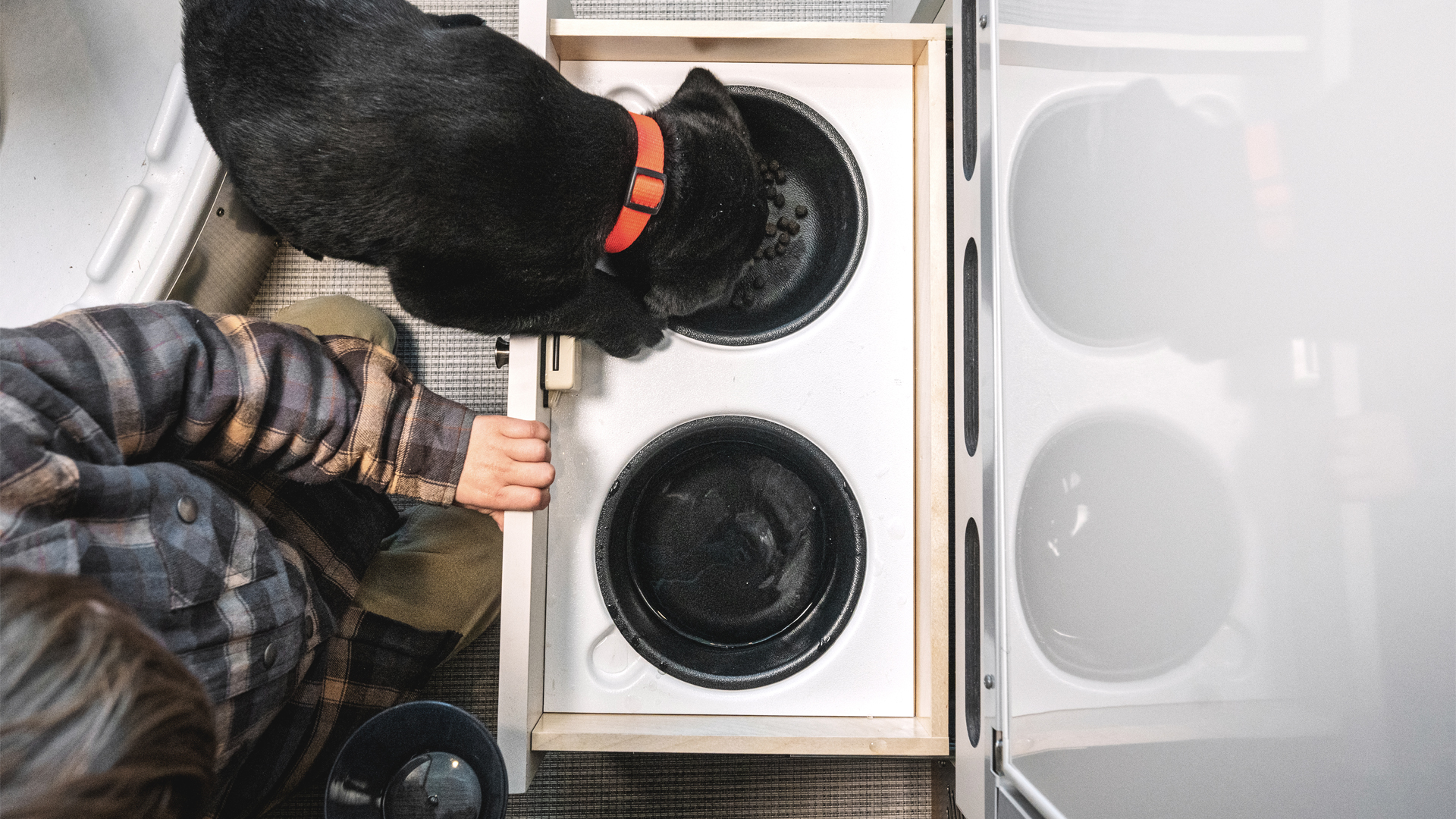 A little boy feeding a puppy in the pet bowls that are located on the interior of the Airstream Rangeline Touring Coach