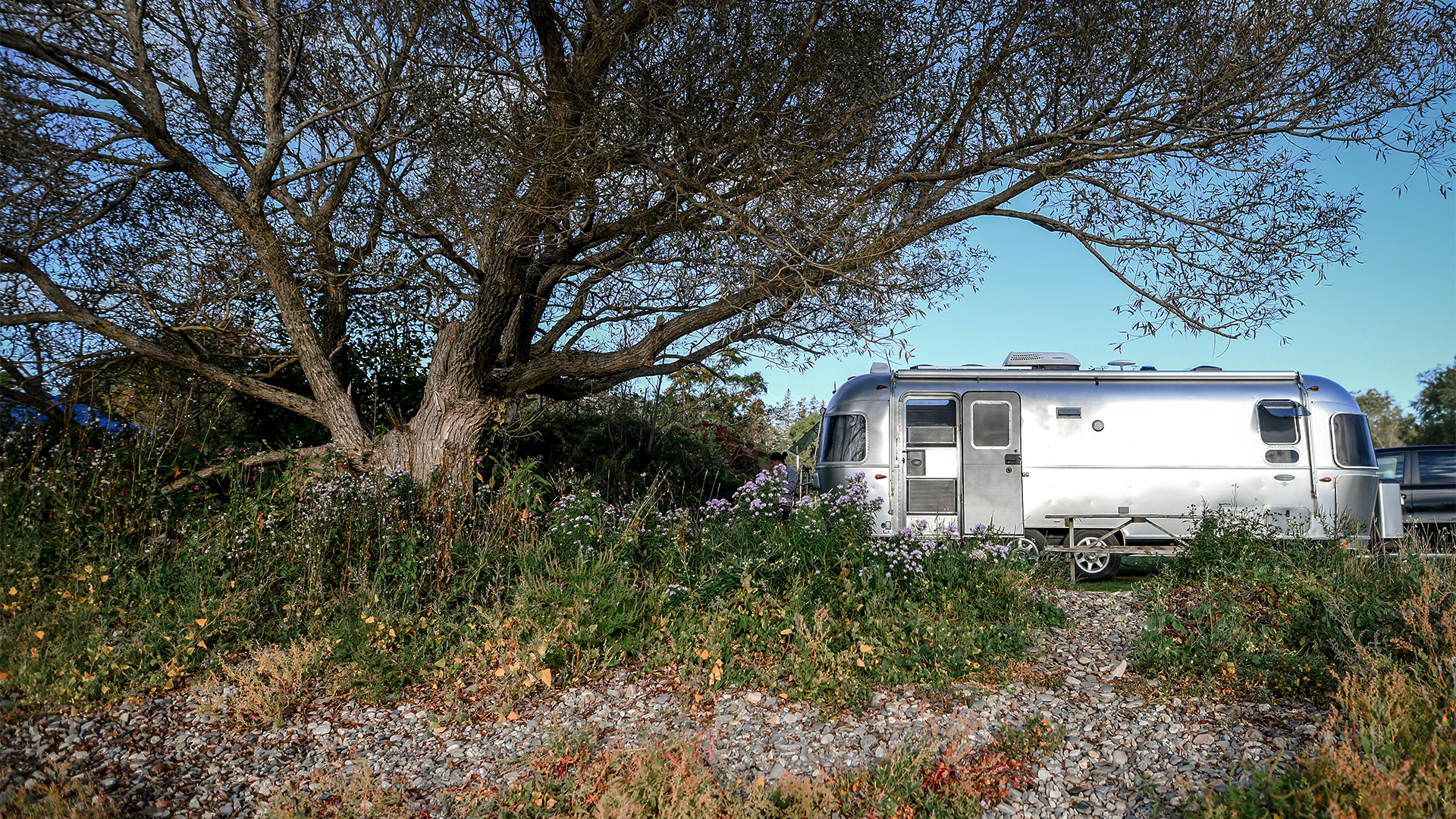 An Airstream travel trailer sitting in a field of grass and flowers while a camper is inside the trailer.