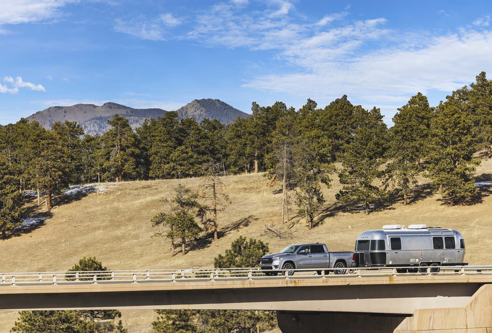 Airstream Midnight Flamingo 24