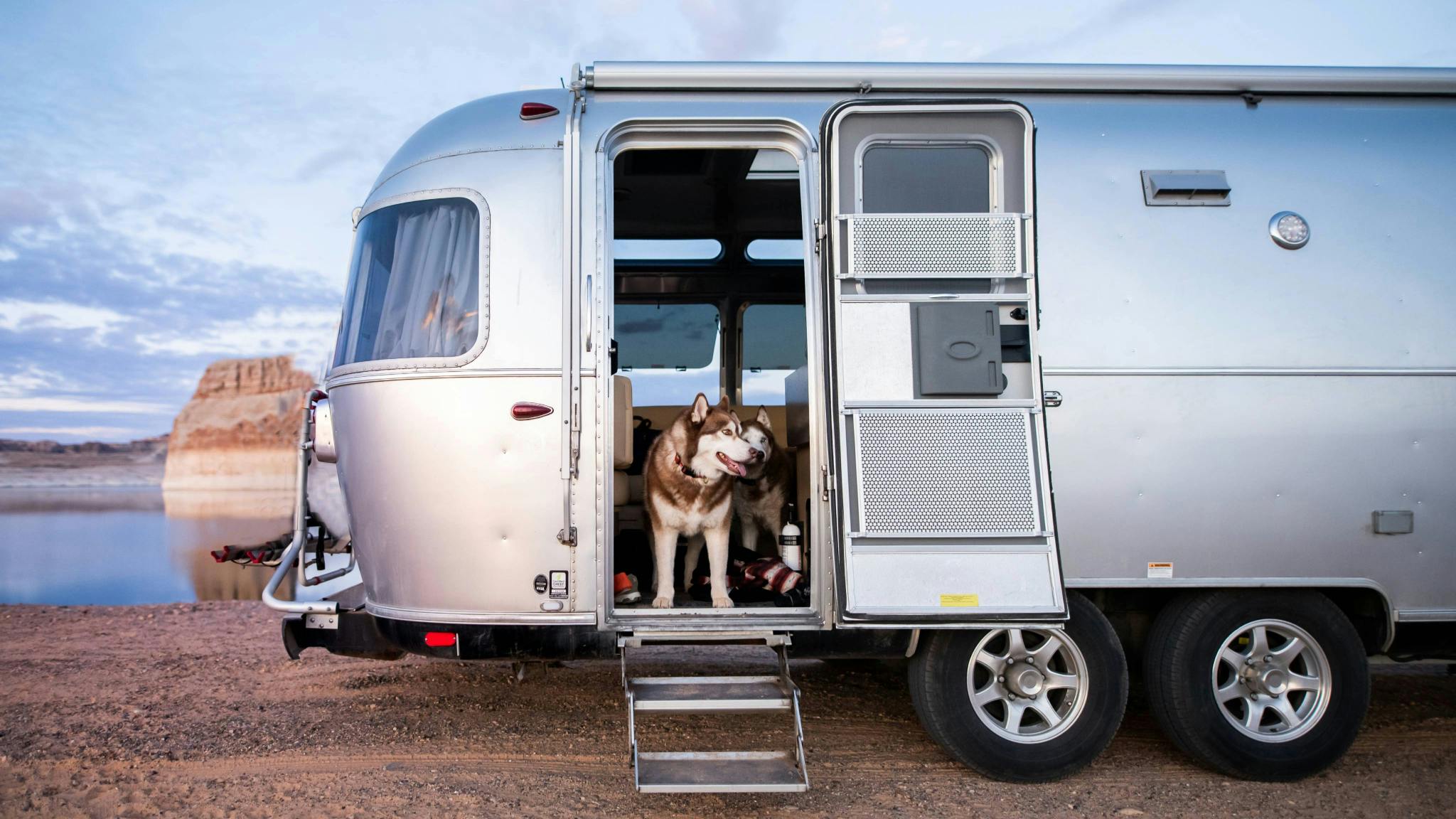 Dogs Inside Airstream Travel Trailer